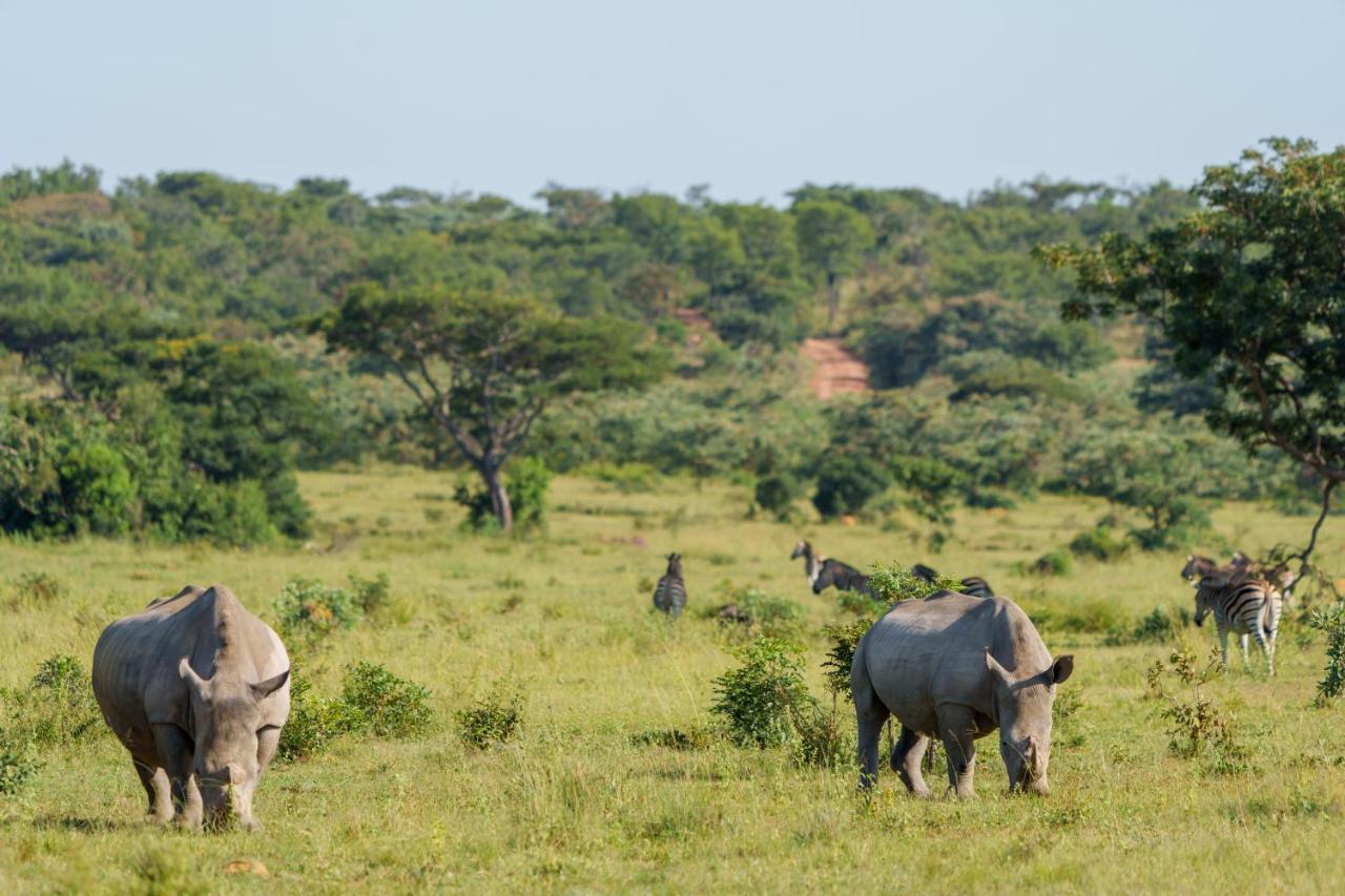 Elephants Crossing Welgevonden Game Reserve Exterior foto